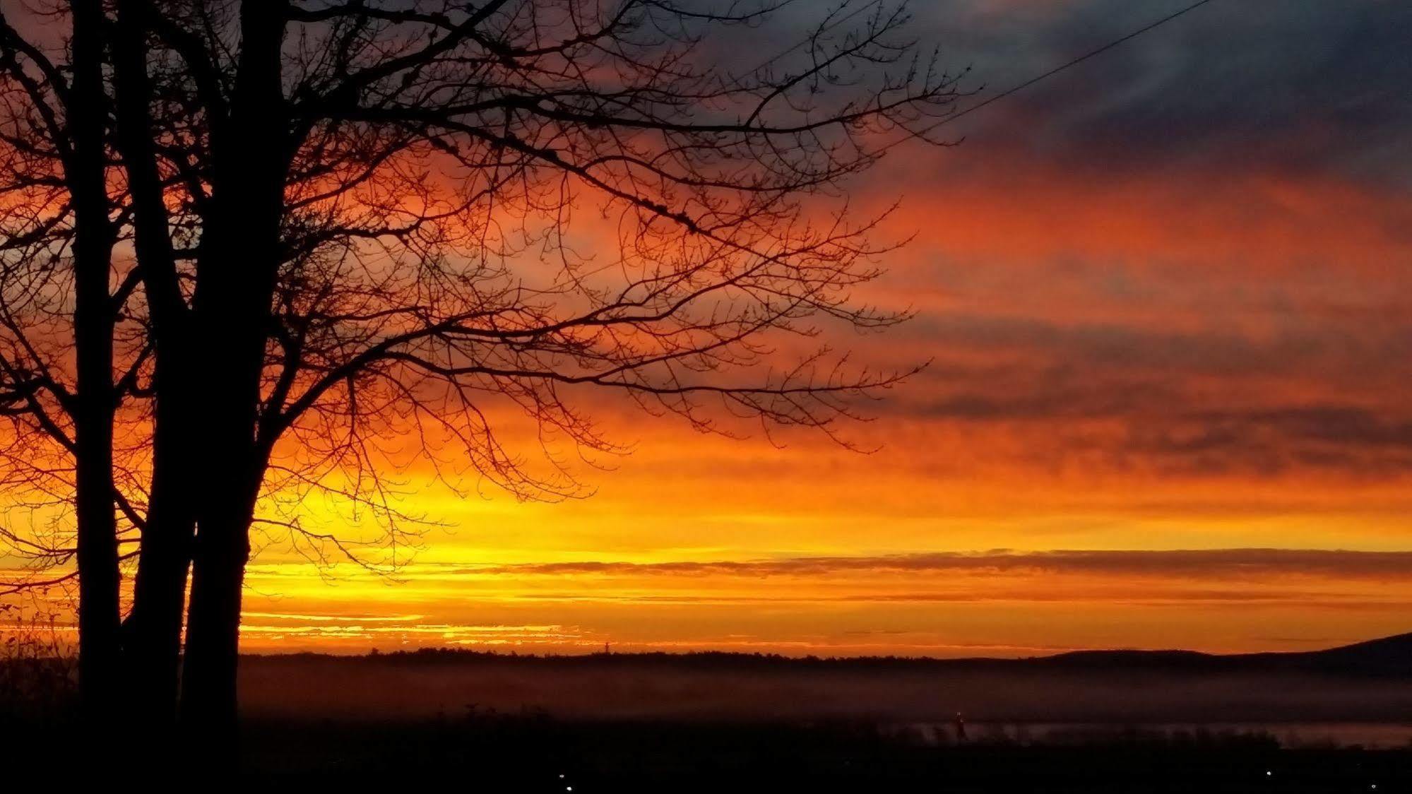 Acadia Sunrise Motel Trenton
